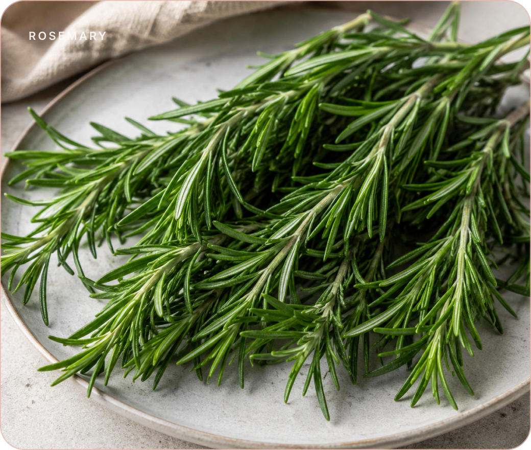 Rosemary